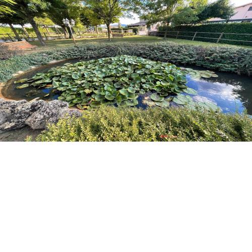 Villa Spelloissima - Sleeps 11