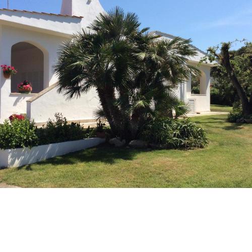 Villa sul mare Rosa Marina