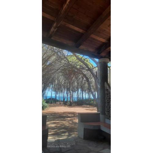 VILLA SULLA SPIAGGIA