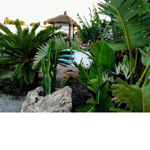 Villa Tokio con jacuzzi y piscina privada