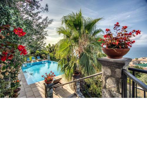 Villa Tortuga Luxury