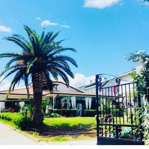 Villa Tropical