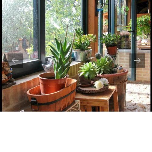 Villa vacanze floriana