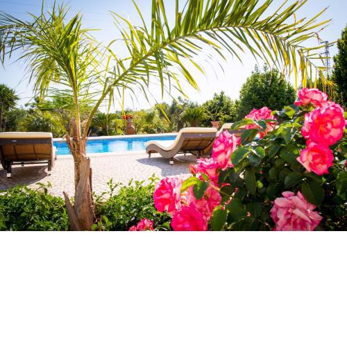 Villa Vanessa