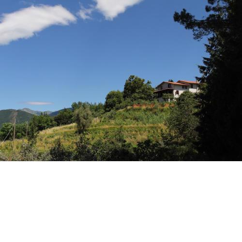 Villa Veralda, la magia di una Toscana insolita