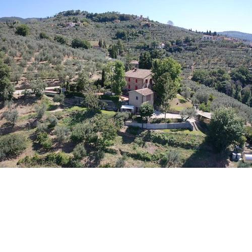Villa Vestra in Vinci holiday home