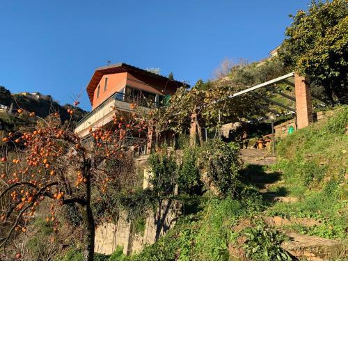 Villa Vigna