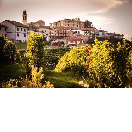 Villa Vinory - Tenuta il Sogno