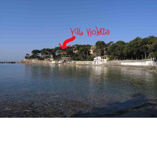 Villa Violetta