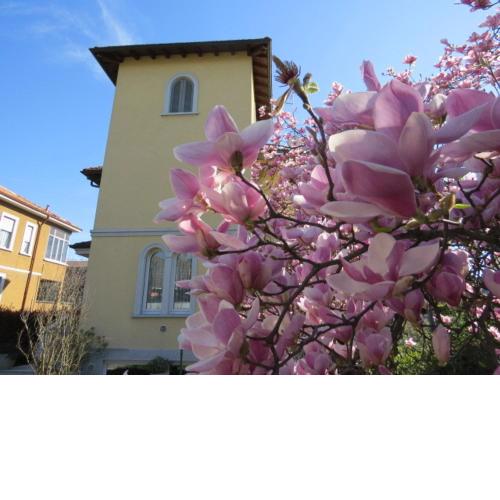 Villa Virginia