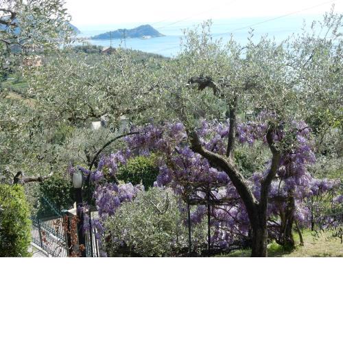 villa vista mare