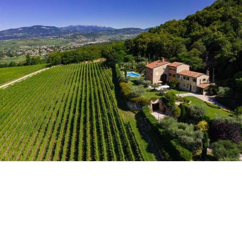 Villa Vitis