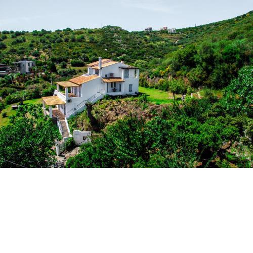 Villa Von Sophia / THE HOUSE