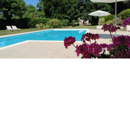 Villa Zane