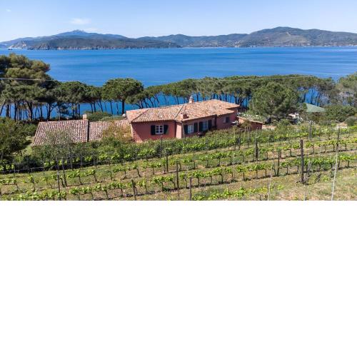 Villaflair - Villa Morcone with private beach