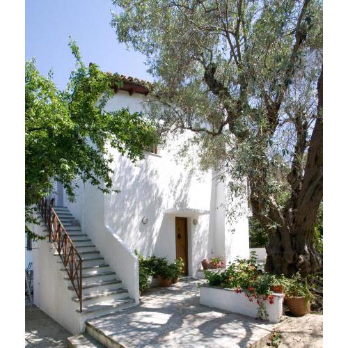 Villas Alexandra Skiathos
