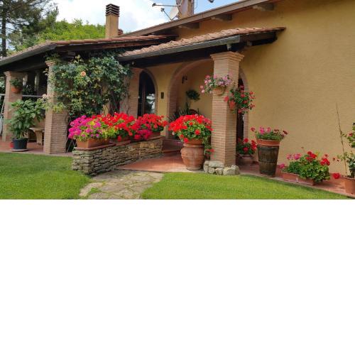 Villaspino