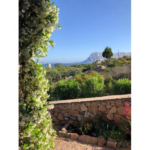 Villetta Belvedere San Teodoro Coda Cavallo