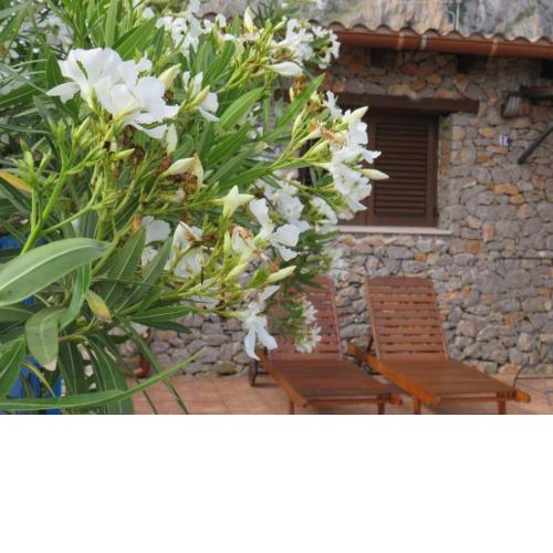 Villetta Edera all'Usciere