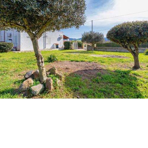 Villetta I Pitosfori