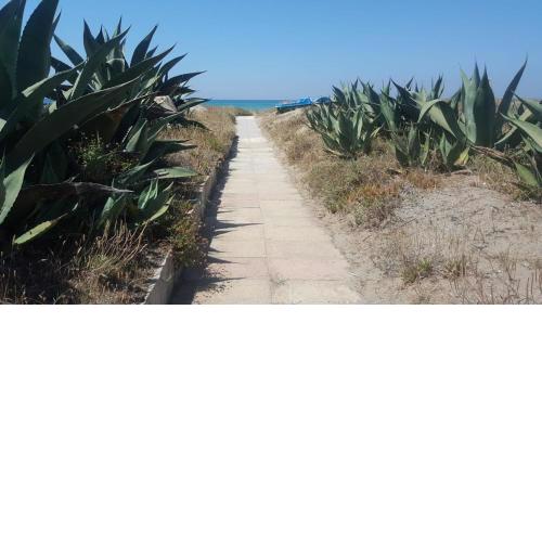 Villino Fronte Mare