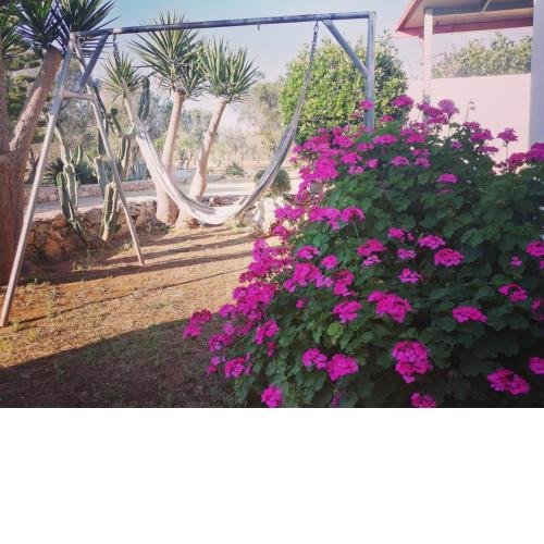 Villino Mediterranea - tra ulivi e mare