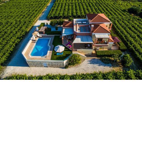 Vineyard Hill Villa