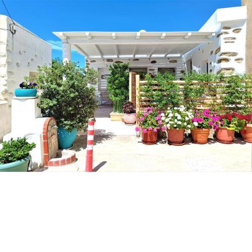 Vintage House Naxos