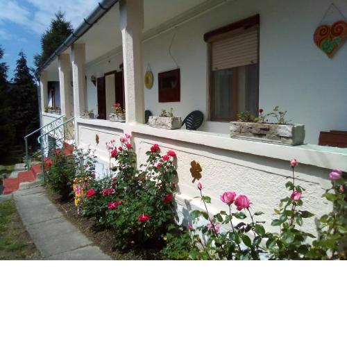 Vintage house