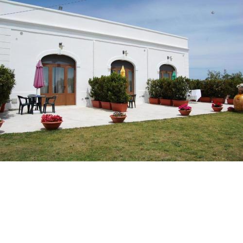 Viola - La piccola masseria