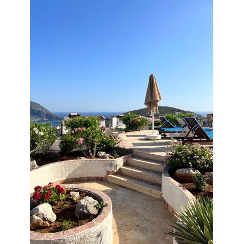Viola Apart - Kalkan