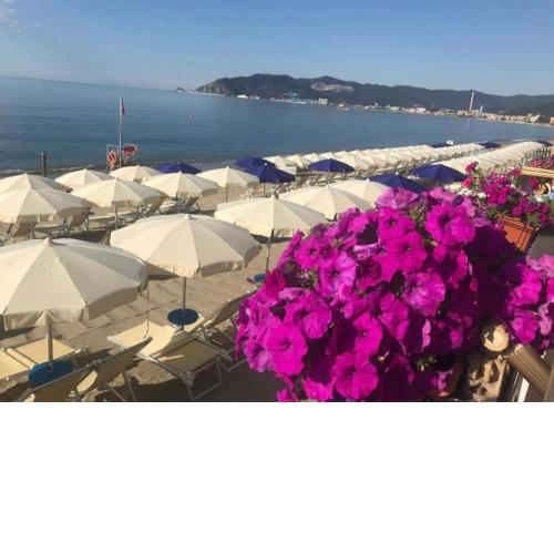 Violamare