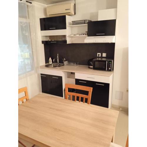 VIP apart SVETLANA