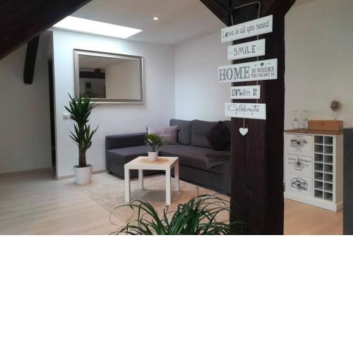 VIP Apartment in Old Town with free parking
