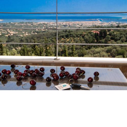 Vista Del Diamante Apartments