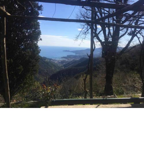 Vista Portofino