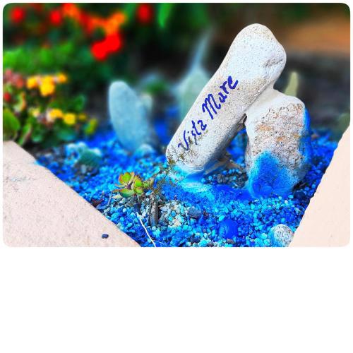 VistaMare