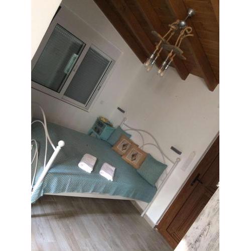 Vitis Vinifera Tranditional Studio Apartment