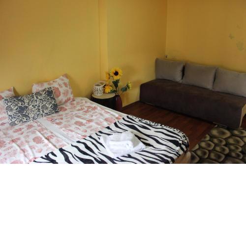 Vitosha Flat