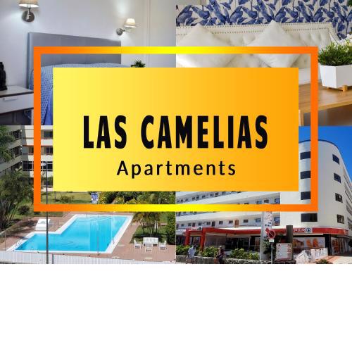 Vivienda Vacacional - LAS CAMELIAS #13