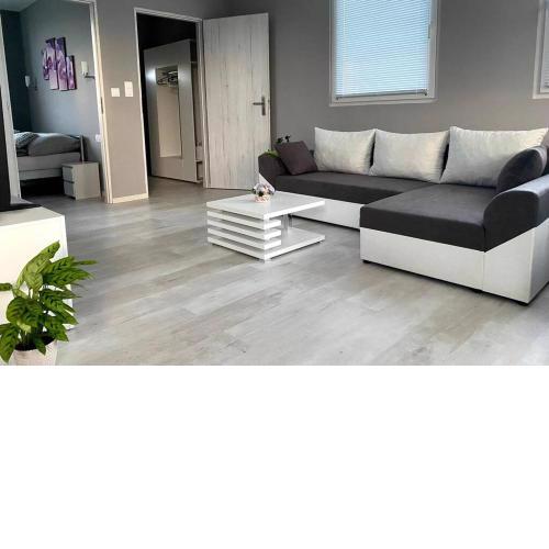 VIZOKUTI Apartman - Modern ház vízközelben, ingyenes parkolással