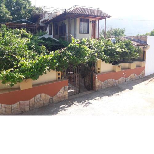 VLASSIS APTS -ΜΕΛΙΔΟΝΙ-ΔΙΑΜΕΡΙΣΜΑ ΒΑΣΙΛΙΚΗ