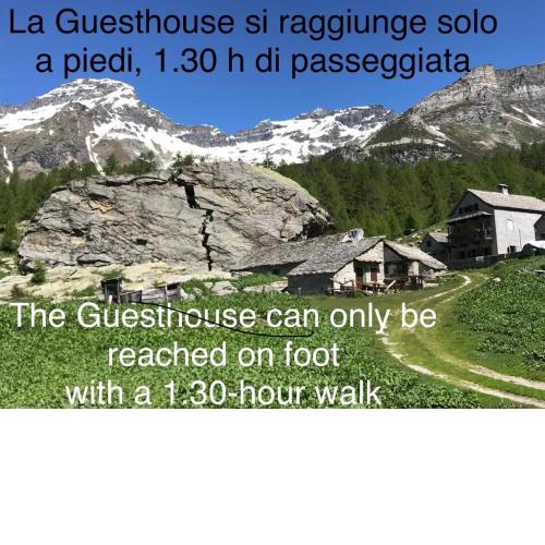 Voglia di Veglia