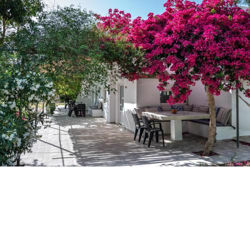 Vrisidia Cottage - Nature, Seaview & Relax