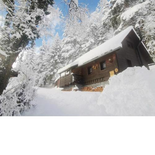 Waldhütte Glück Auf