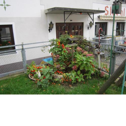 Waldpension Stachl
