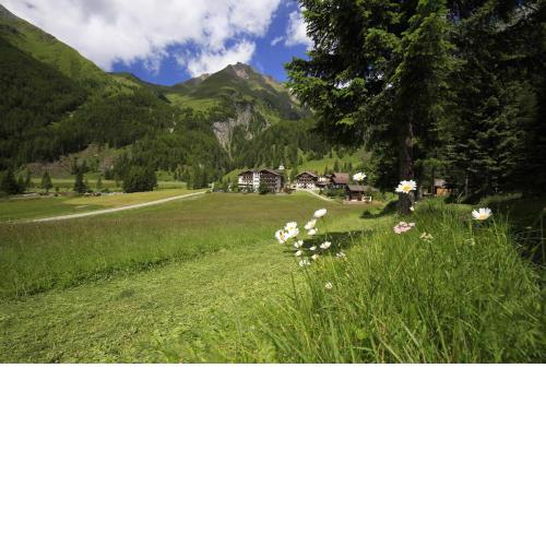Wanderhotel Taurerwirt