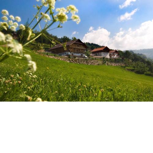 Wargerhof - Urlaub auf dem Bauernhof