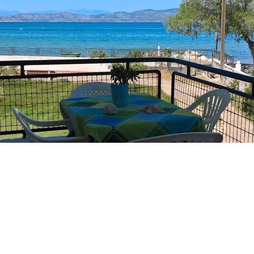Waves Resort