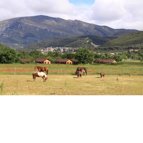 wecamp Pirineos